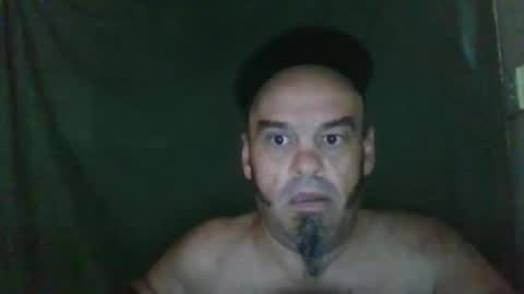 Snapshot of essensualelf chatting on 8, 9, 2025 Essensual Elf online show from 8, 9, 2025