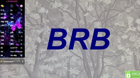 Eva online show from 28, 1, 2025