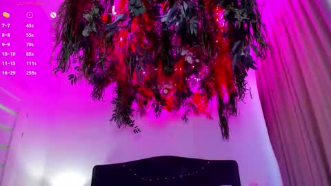 Eva online show from 26, 10, 2025