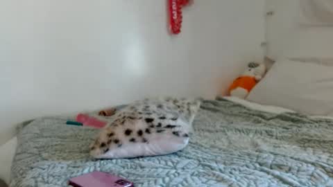 eveexxclusive online show from 17, 10, 2025