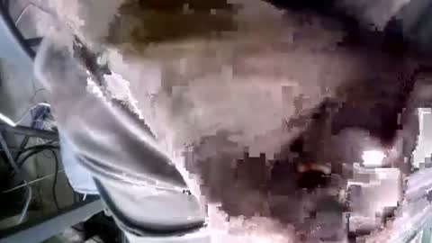 eveline_figeroa3 online show from 25, 6, 2026