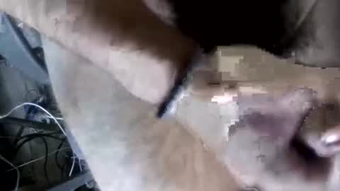 eveline_figeroa3 online show from 26, 6, 2026