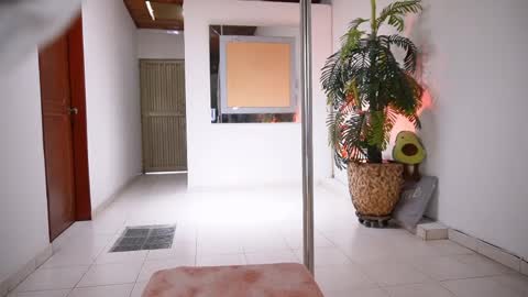 evelyn evelyn online show from 3, 4, 2026