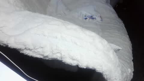 everlasthu online show from 9, 2, 2025