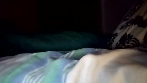 Evocation online show from 6, 1, 2026