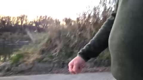 exhibaustin2 online show from 12, 11, 2025