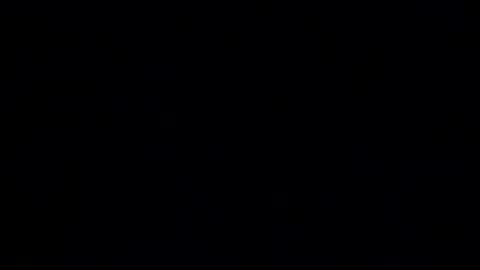 exhibitionvoyeurlive online show from 14, 3, 2026