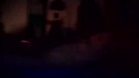 experttreecompany online show from 3, 3, 2026