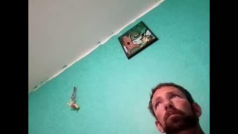 experttreecompany online show from 26, 4, 2026