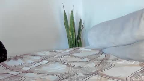 -  A N D E R online show from 11, 1, 2026