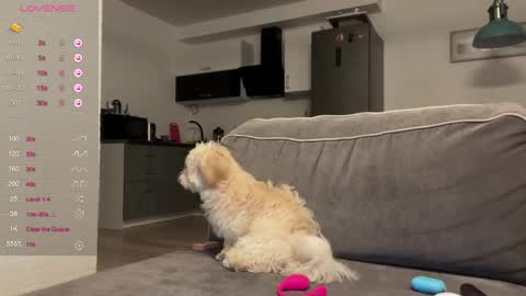 Bloom  online show from 22, 4, 2026