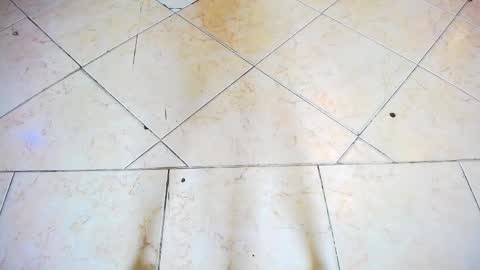 fartech online show from 28, 9, 2025