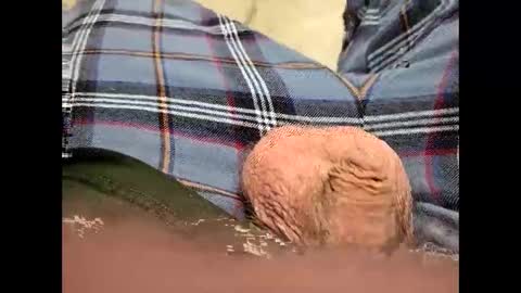 fartinmymouthplz online show from 18, 11, 2025