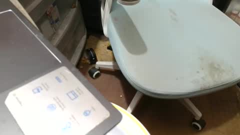 Fred. online show from 7, 11, 2025