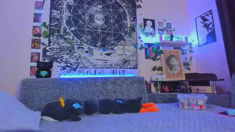 Diva online show from 11, 11, 2025