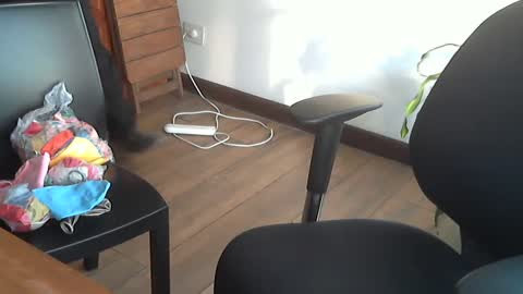 fedeGLOBOS online show from 17, 9, 2025