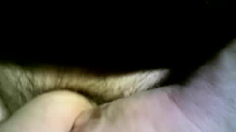 felicaste online show from 13, 4, 2026