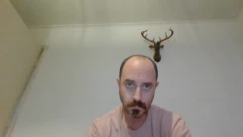 Snapshot of felipesmg2 chatting on 17, 11, 2025 felipesmg2 online show from 17, 11, 2025