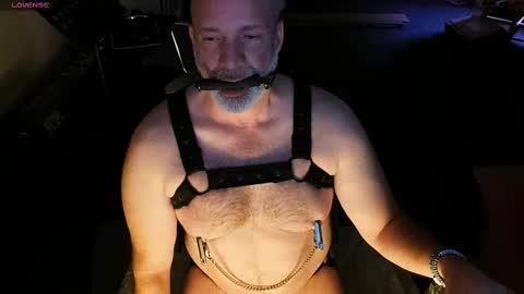 Piggy online show from 1, 3, 2025