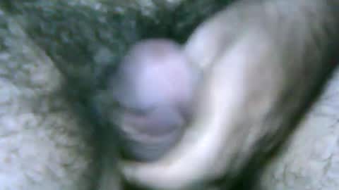 fer_2197 online show from 27, 1, 2025