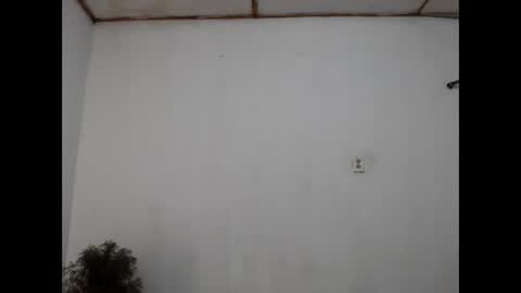 Snapshot of fernandez_latinblack chatting on 31, 12, 2024 fernandez_latinblack online show from 31, 12, 2024