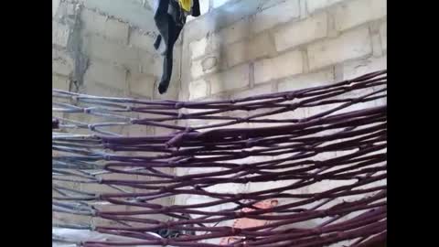 Snapshot of fernandez_latinblack chatting on 1, 10, 2025 fernandez_latinblack online show from 1, 10, 2025