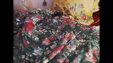 ferra_testarossa online show from 9, 4, 2026