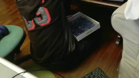 Fid online show from 17, 11, 2025