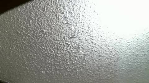 FIERYWOMAN online show from 7, 10, 2025