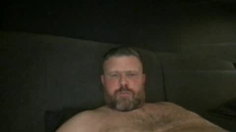 Snapshot of fin_dom_bear chatting on 4, 5, 2026 fin bear dom online show from 4, 5, 2026