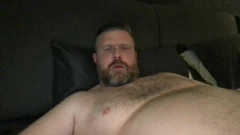 Snapshot of fin_dom_bear chatting on 10, 5, 2026 fin bear dom online show from 10, 5, 2026