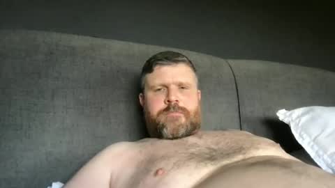 Snapshot of fin_dom_bear chatting on 21, 5, 2026 fin bear dom online show from 21, 5, 2026