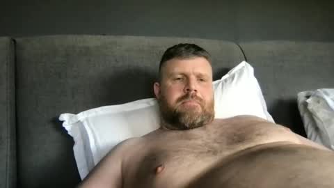Snapshot of fin_dom_bear chatting on 25, 5, 2026 fin bear dom online show from 25, 5, 2026
