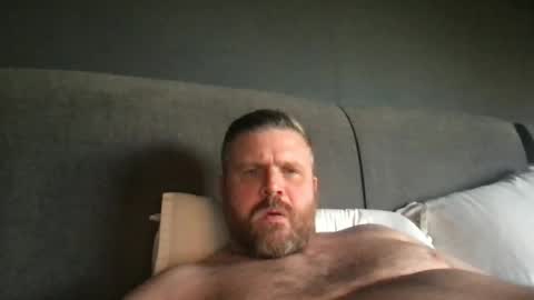Snapshot of fin_dom_bear chatting on 14, 6, 2026 fin bear dom online show from 14, 6, 2026