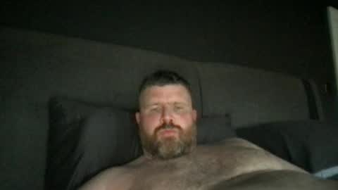 Snapshot of fin_dom_bear chatting on 22, 6, 2026 fin bear dom online show from 22, 6, 2026