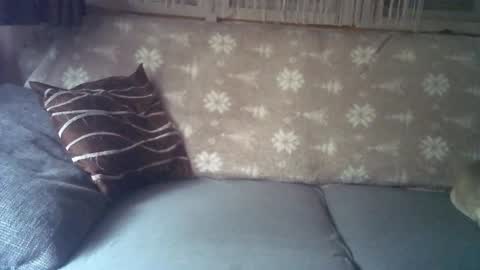 Jane and Findo online show from 6, 1, 2025