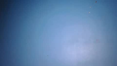 Snapshot of fine_ass24 chatting on 29, 5, 2026 fine_ass24 online show from 29, 5, 2026