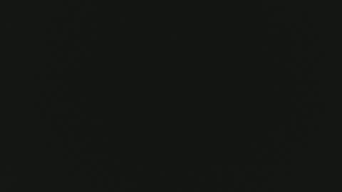 F I O R E L L A  online show from 19, 4, 2026