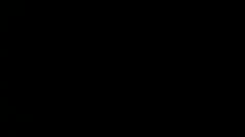 fitonetoo online show from 31, 12, 2024