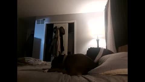 Nate online show from 2, 11, 2025