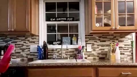 Nate online show from 24, 2, 2026