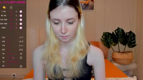 FlexiMona online show from 8, 12, 2024