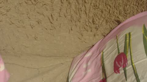 Snapshot of flowercandydoll chatting on 9, 12, 2024 say meow and send tip online show from 9, 12, 2024