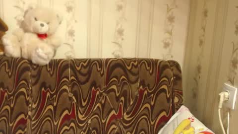 Snapshot of flowercandydoll chatting on 27, 2, 2025 say meow and send tip online show from 27, 2, 2025