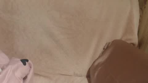 say meow and send tip  online show from 21, 3, 2026