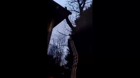 flyyguy69 online show from 18, 12, 2025