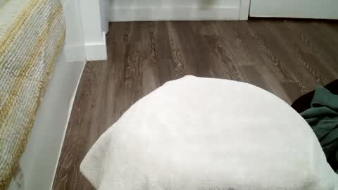 forestnymphpdx online show from 19, 10, 2025