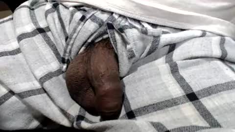 foster19422002 online show from 20, 2, 2025