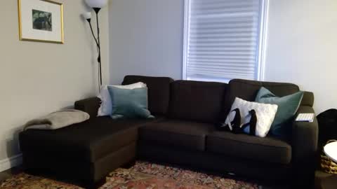 Foxy online show from 7, 10, 2025