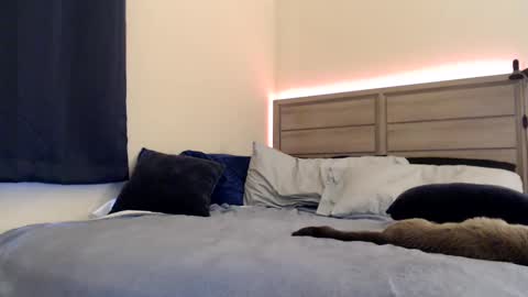 Angel online show from 14, 12, 2024